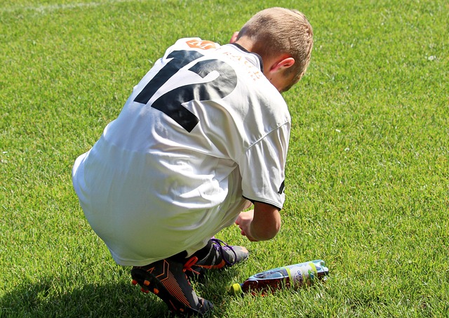 领域带来新 领域带来新