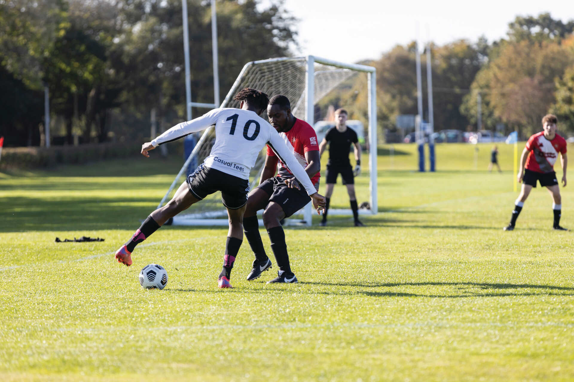 塞尔维亚也 塞尔维亚也