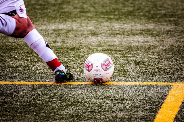 的进攻组织 的进攻组织