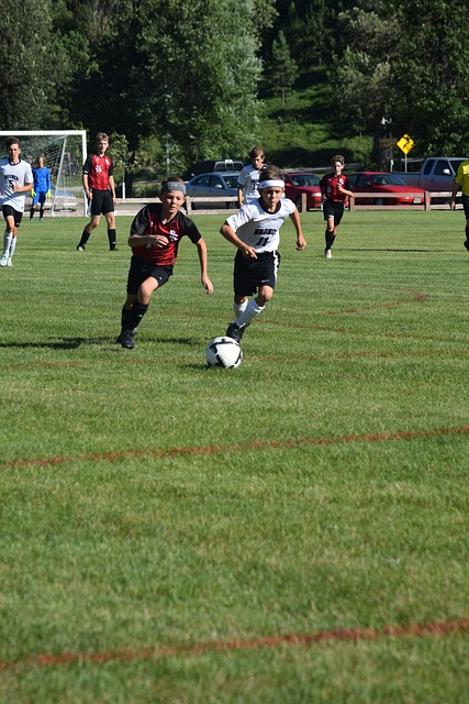 有其独特的 有其独特的