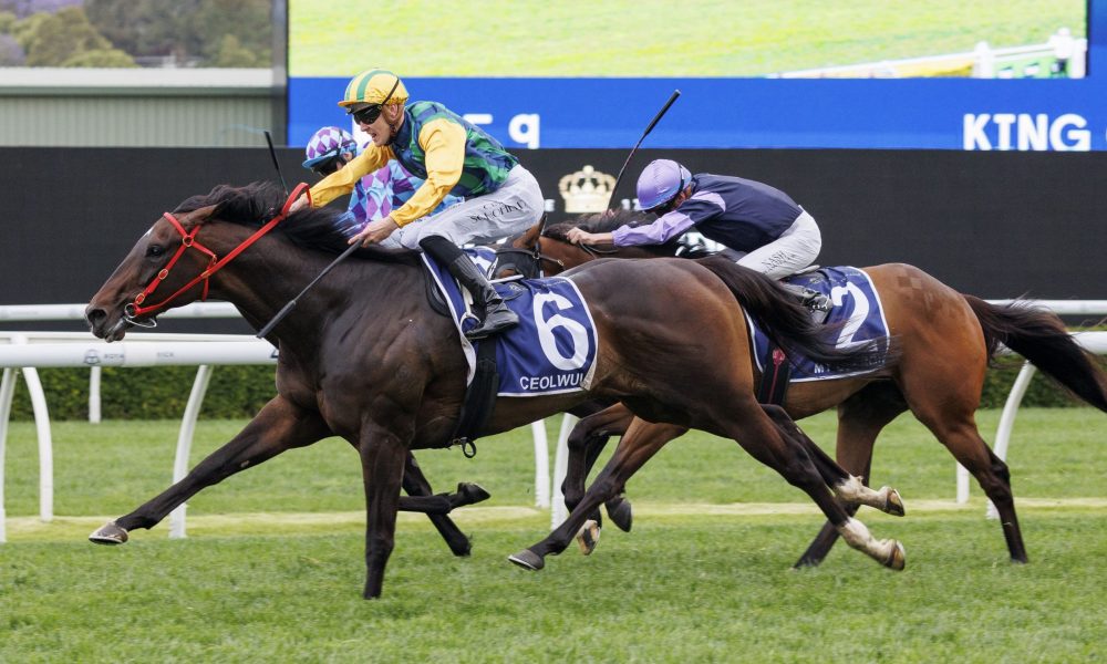 发展描绘出 发展描绘出